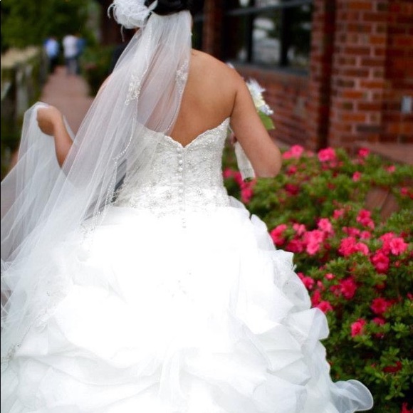 Spanish designer wedding gown with long vail. - Picture 4 of 10